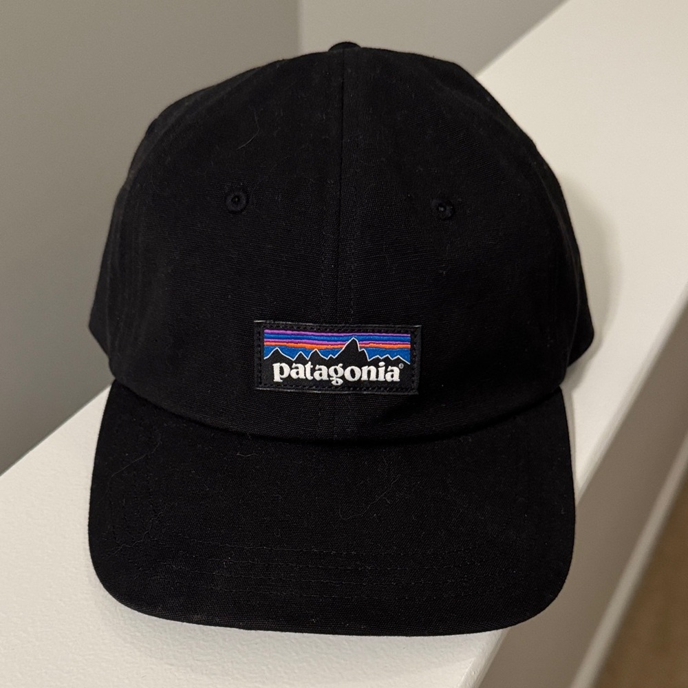 Patagonia Classic Black Baseball Cap